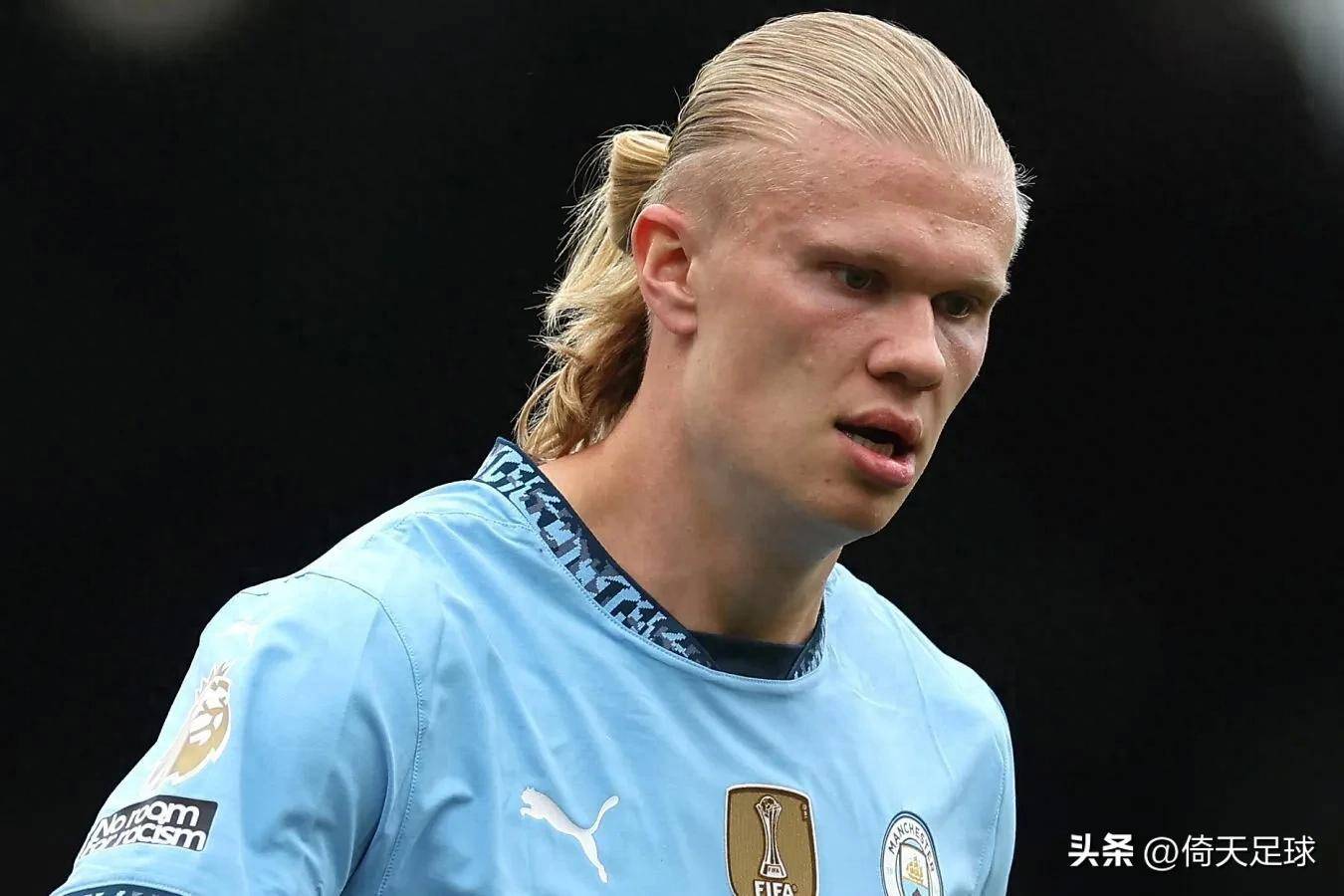 旺财28- 哈兰德被追 